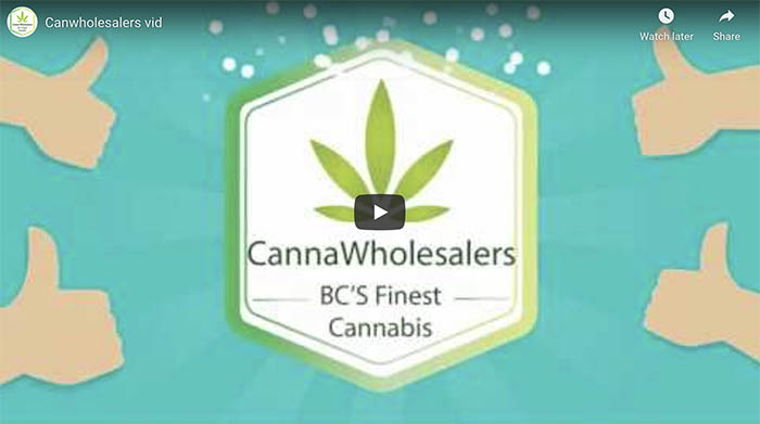 Cannawholesalers video