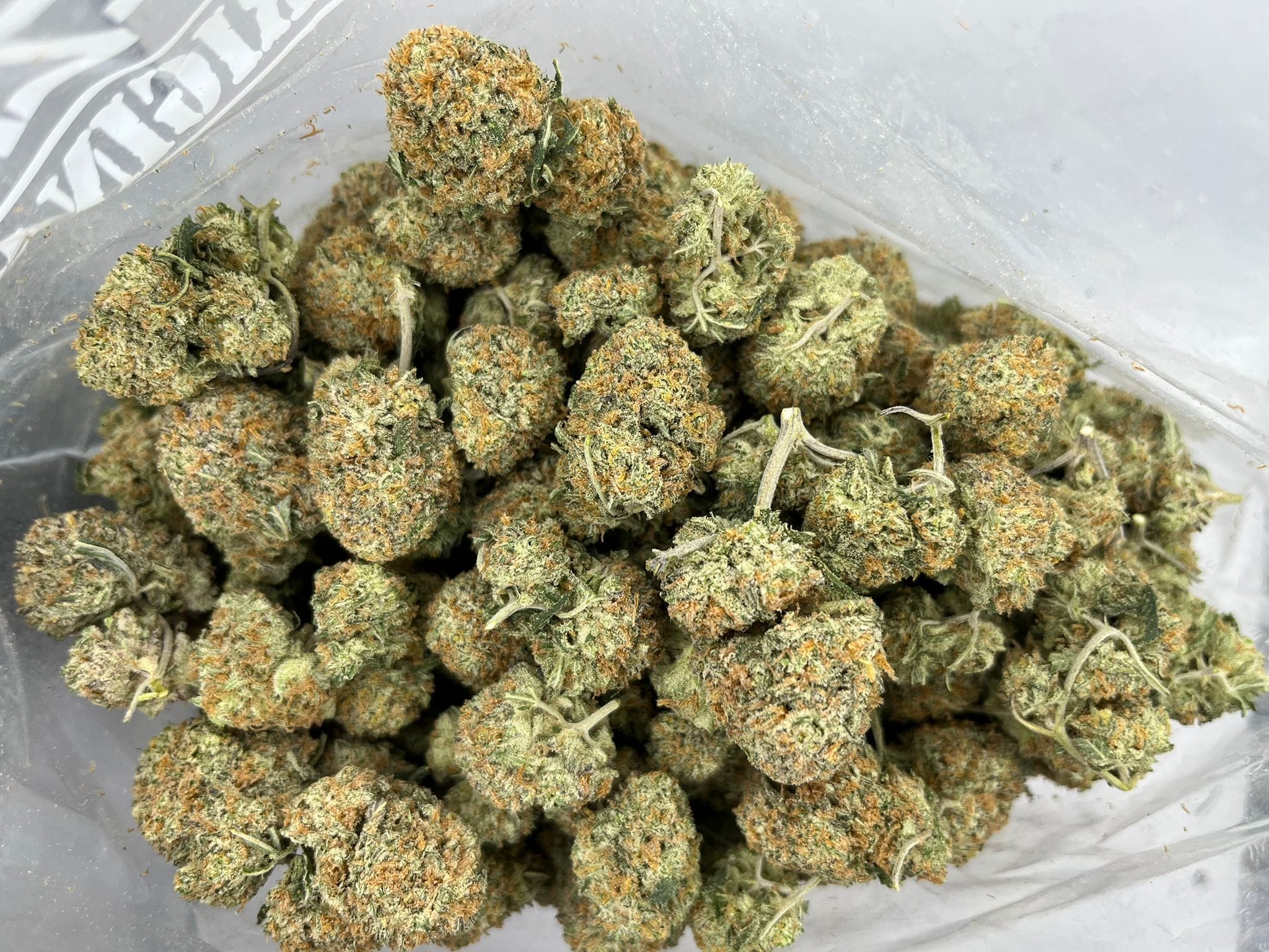 NY Cheese