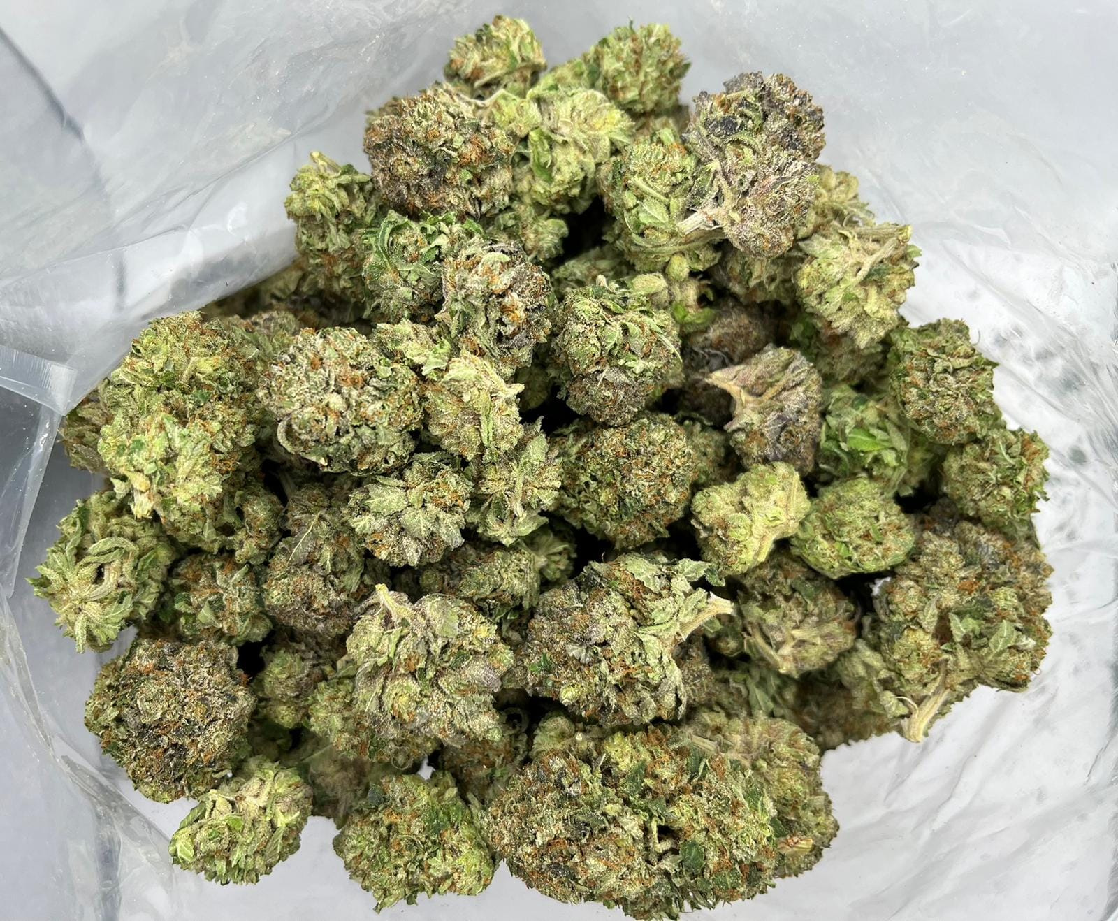 Rockbud