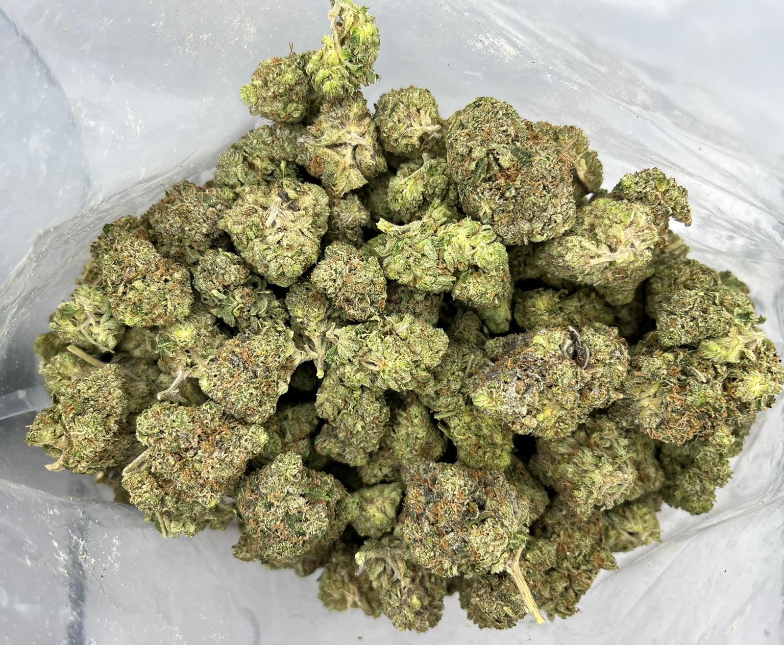 Zombie OG