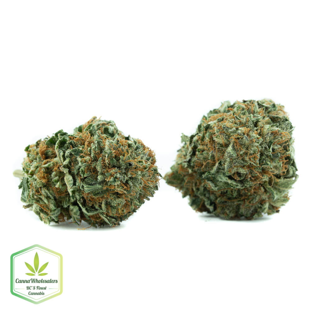 White Cookies