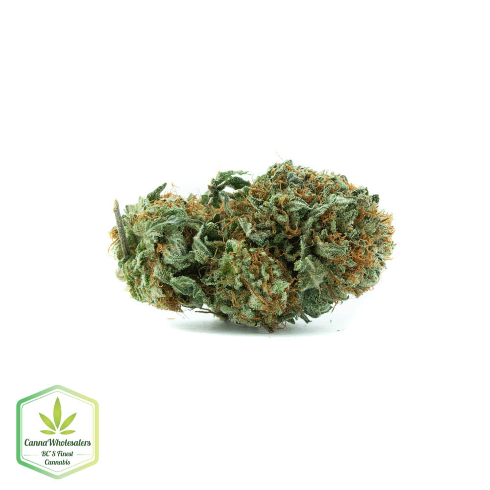 White Cookies
