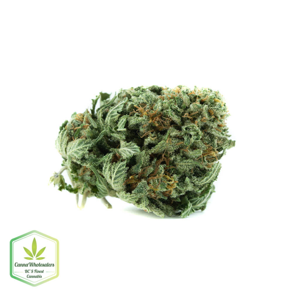 Agent Orange