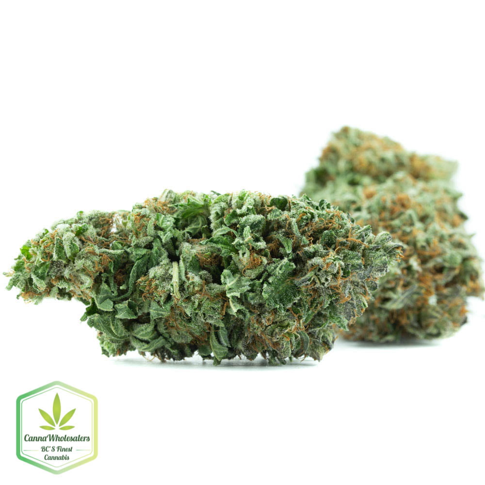 Purple Kush