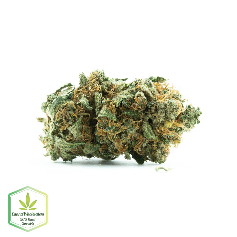 Stardawg