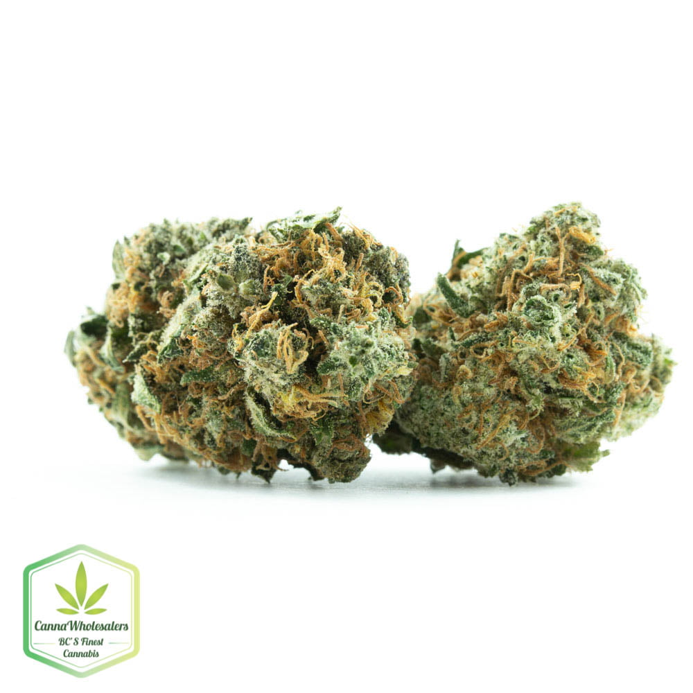 Stardawg