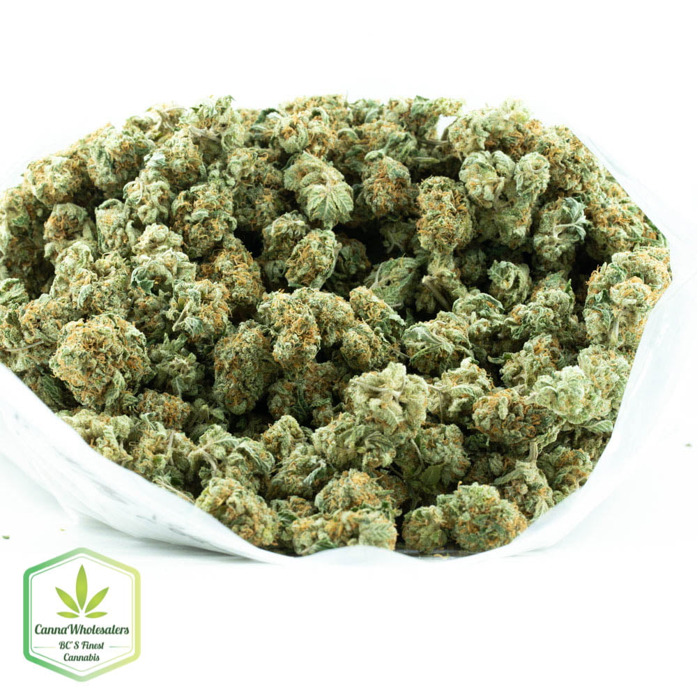 Stardawg