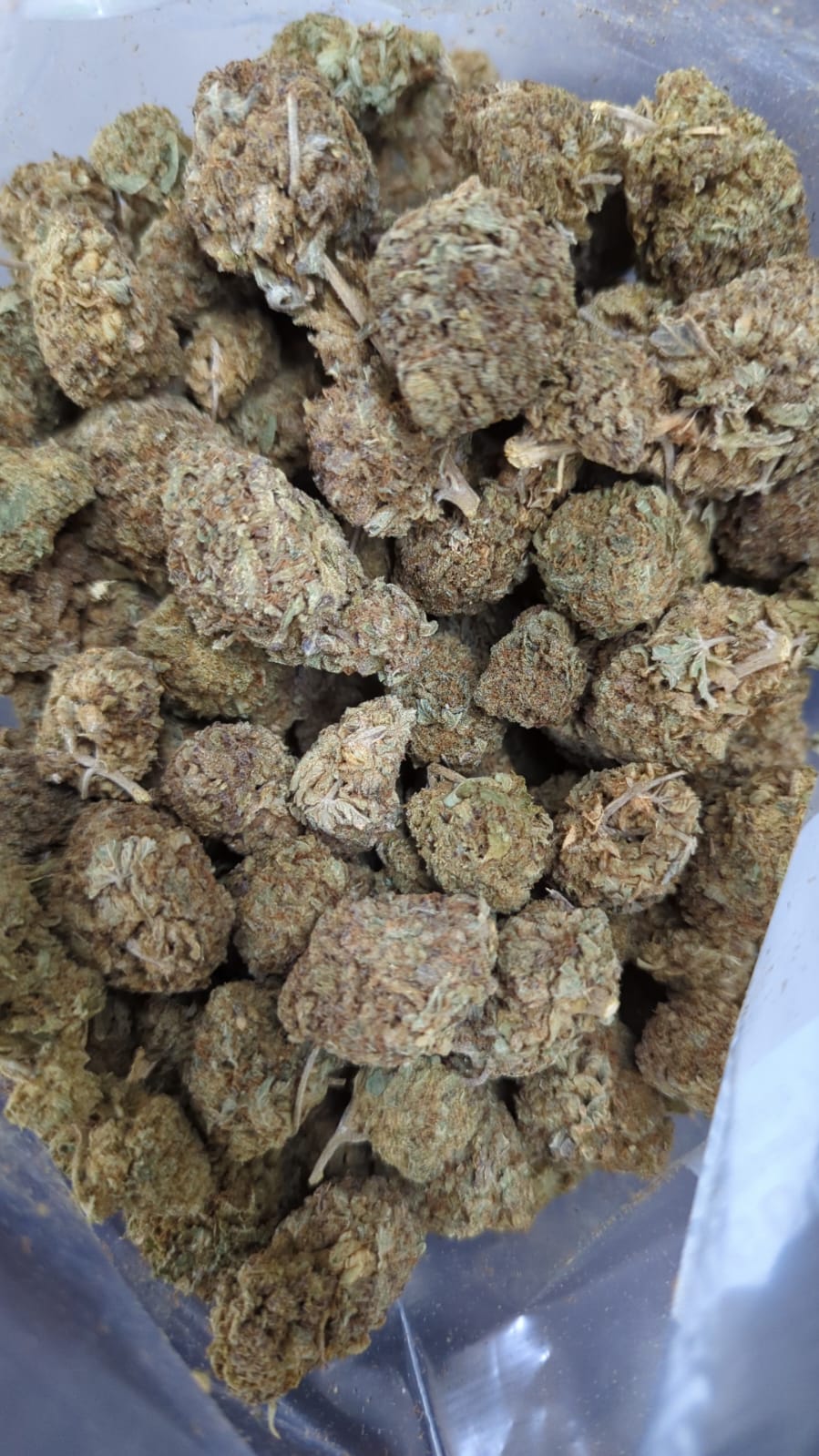 White Kush