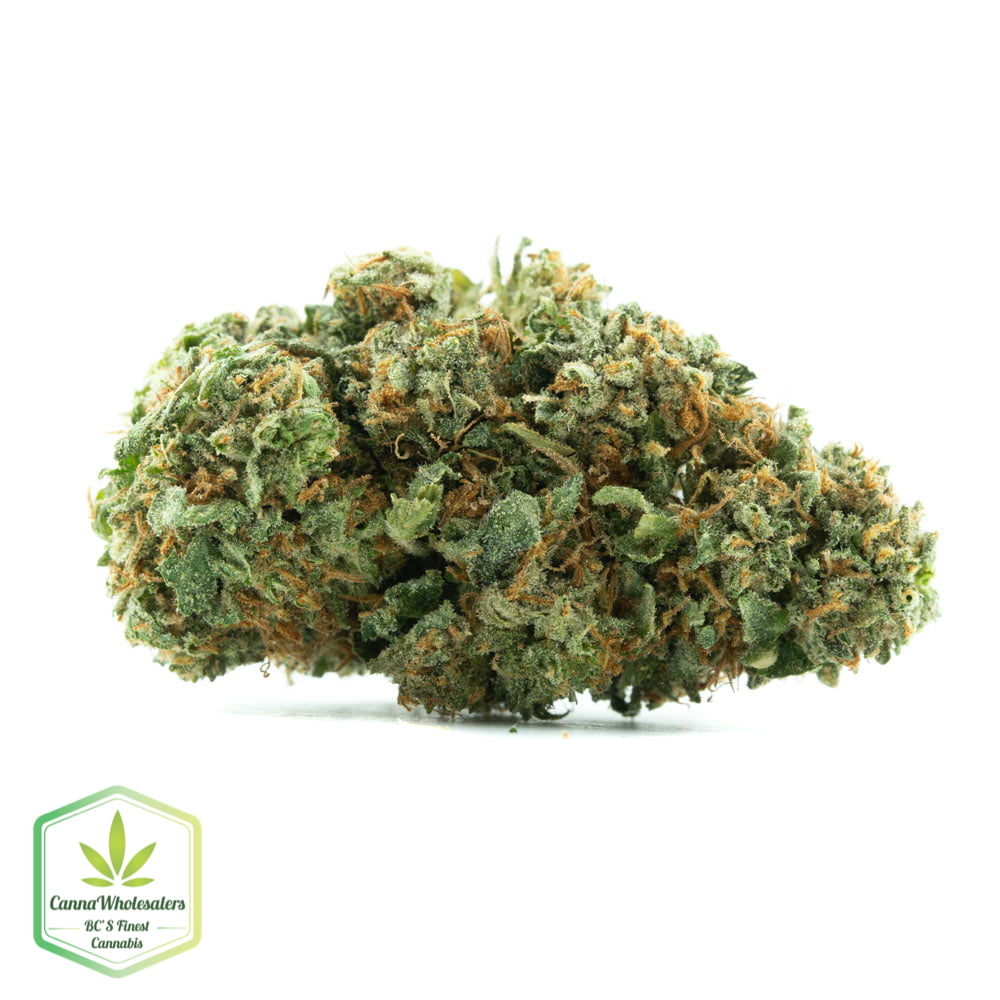 Black Jack