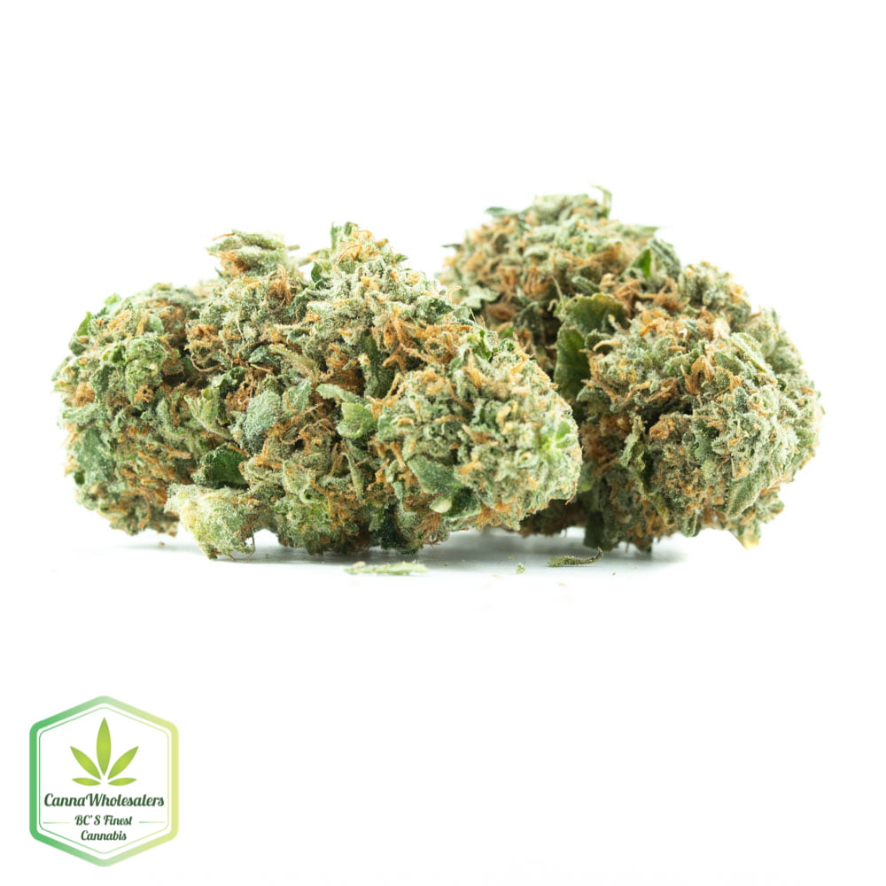Black Jack