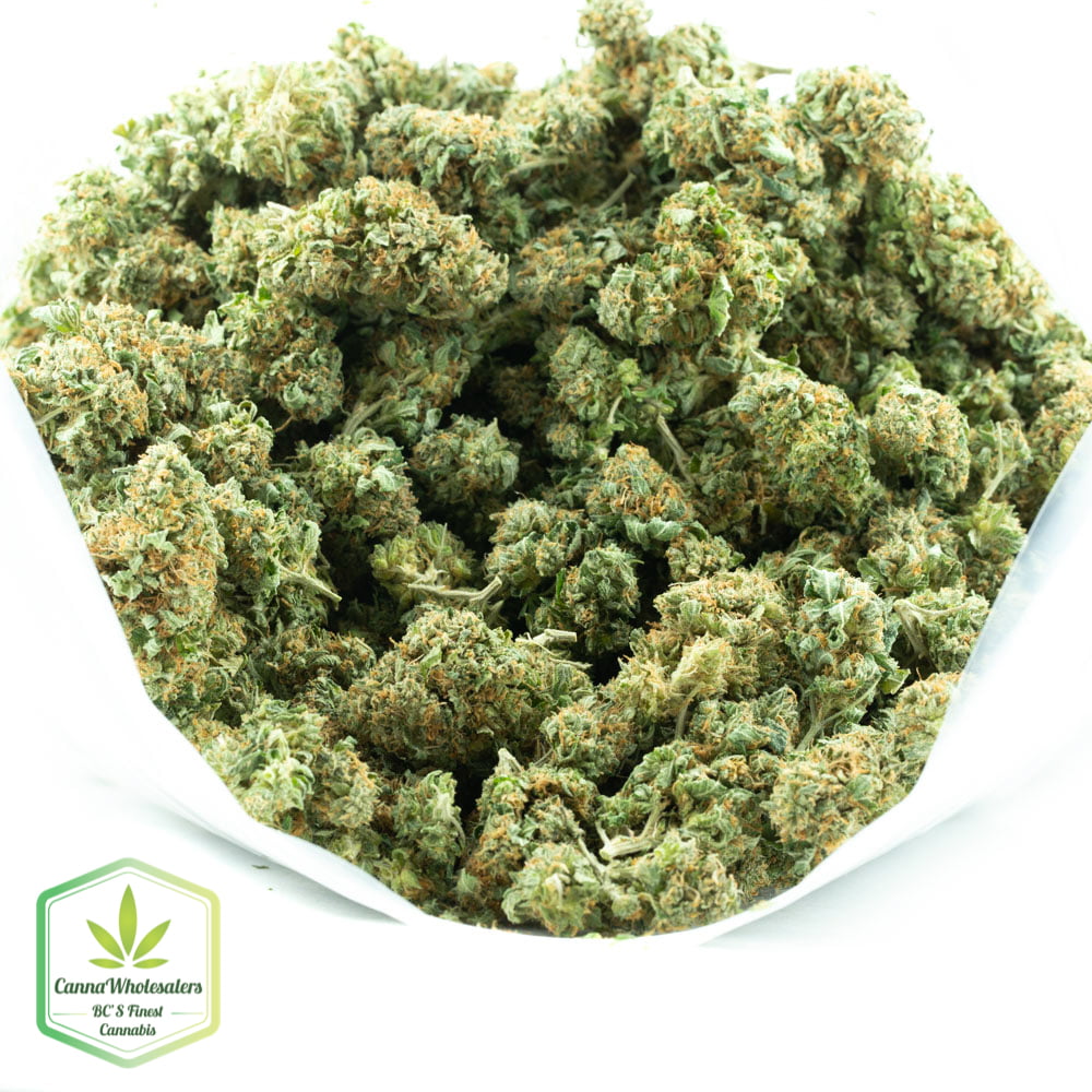 Black Jack