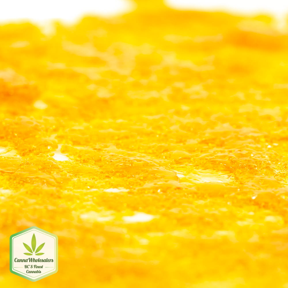 Bruce Banner Shatter (Top Shelf)