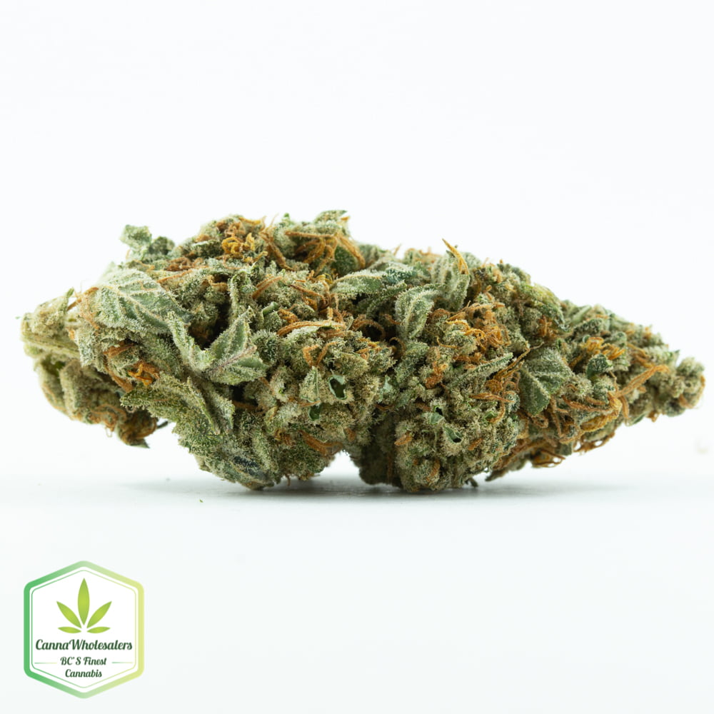 Sour Joker