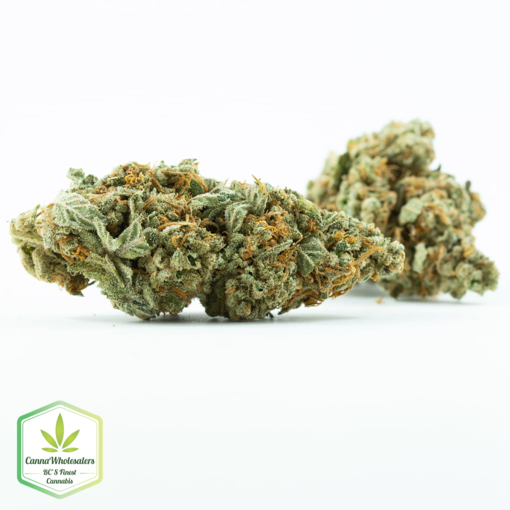 Sour Joker