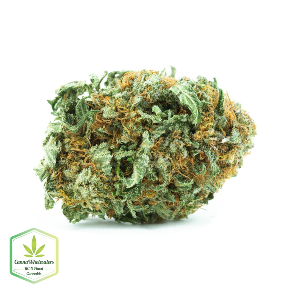 Big Bud