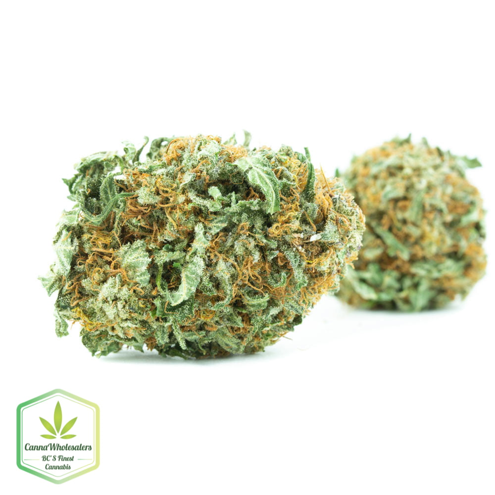 Big Bud
