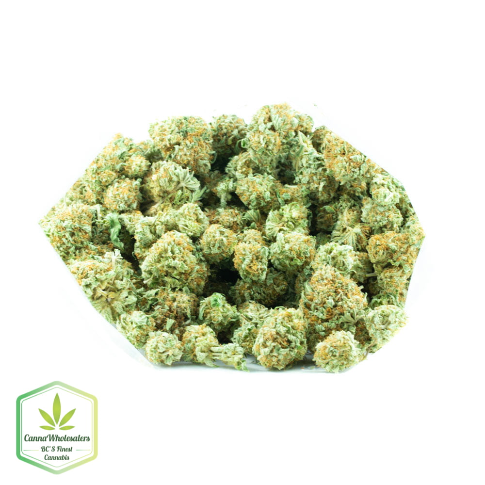 Big Bud