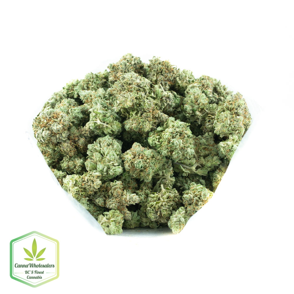 Lavender Jones – Budget Ounce