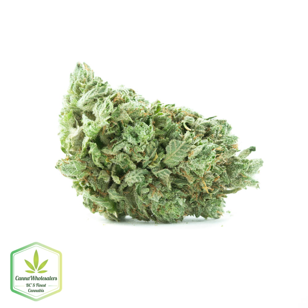 Lavender Jones – Budget Ounce