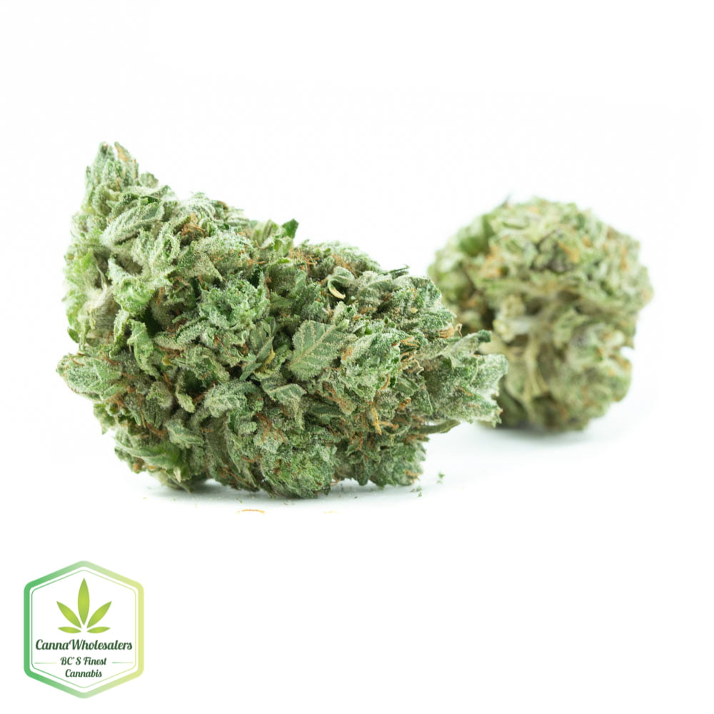 Lavender Jones – Budget Ounce