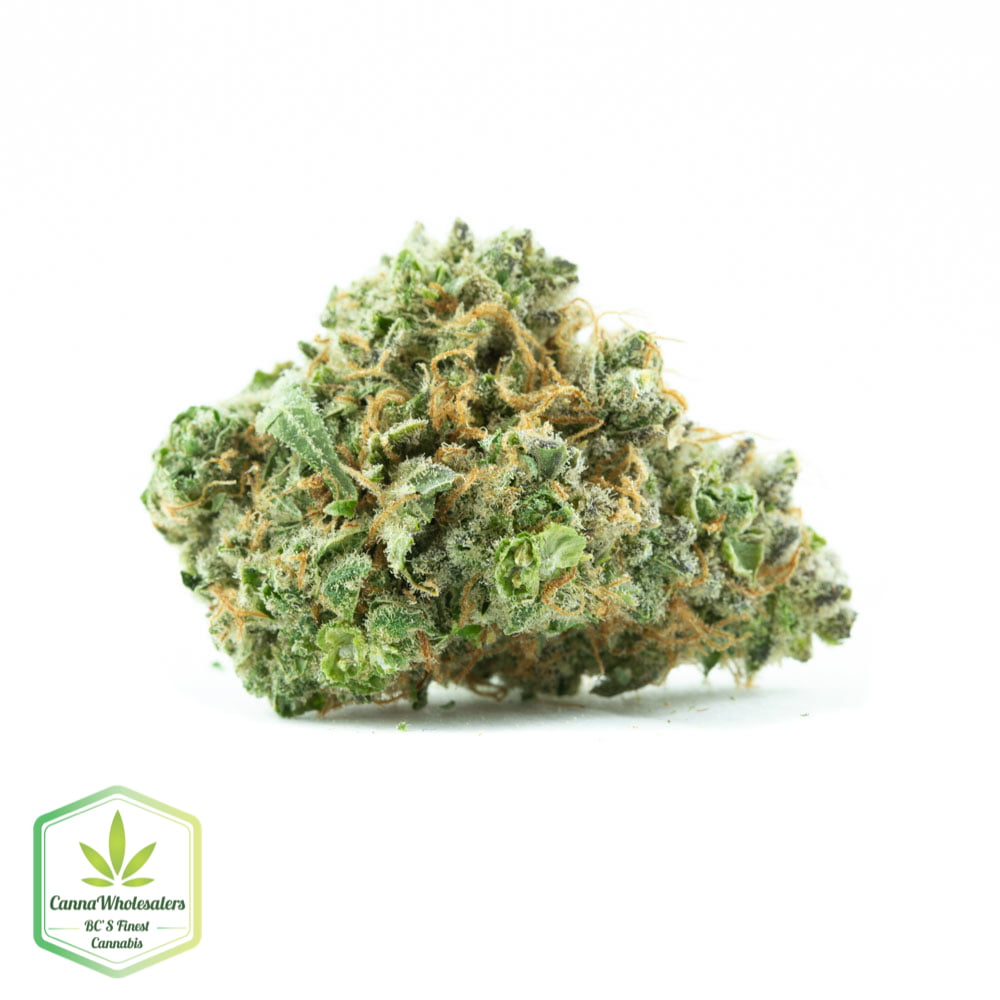 Thin Mint GSC