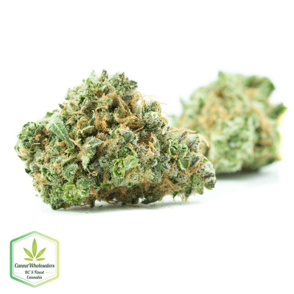 Thin Mint GSC
