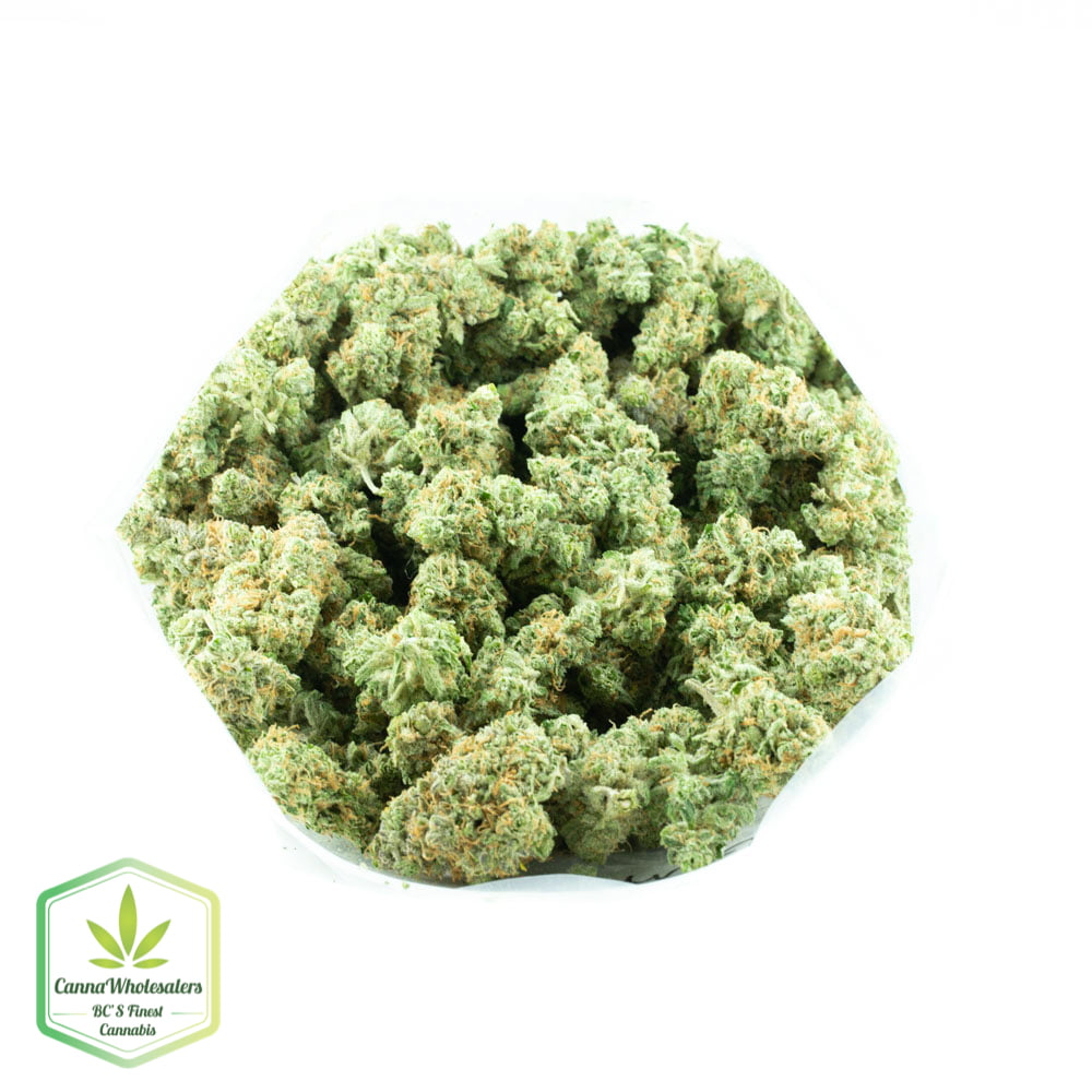Thin Mint GSC