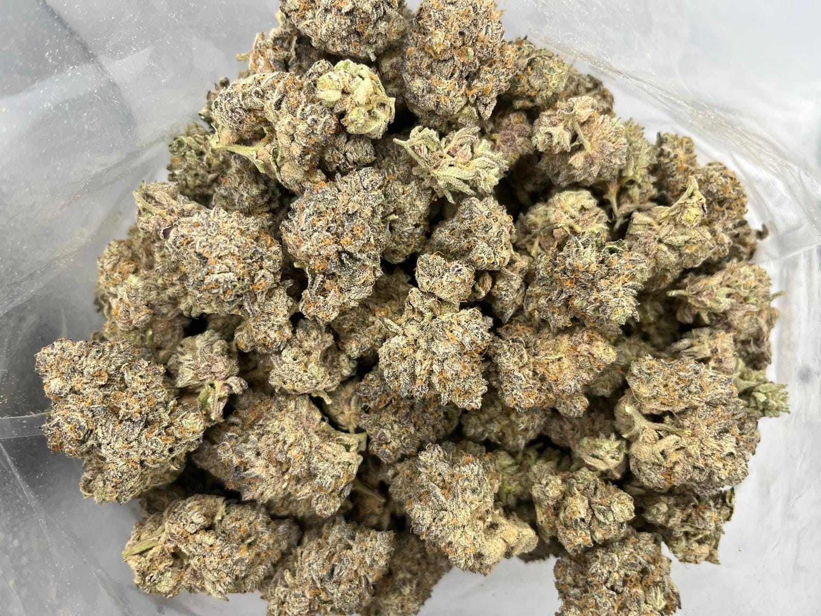 Strawberry Amnesia