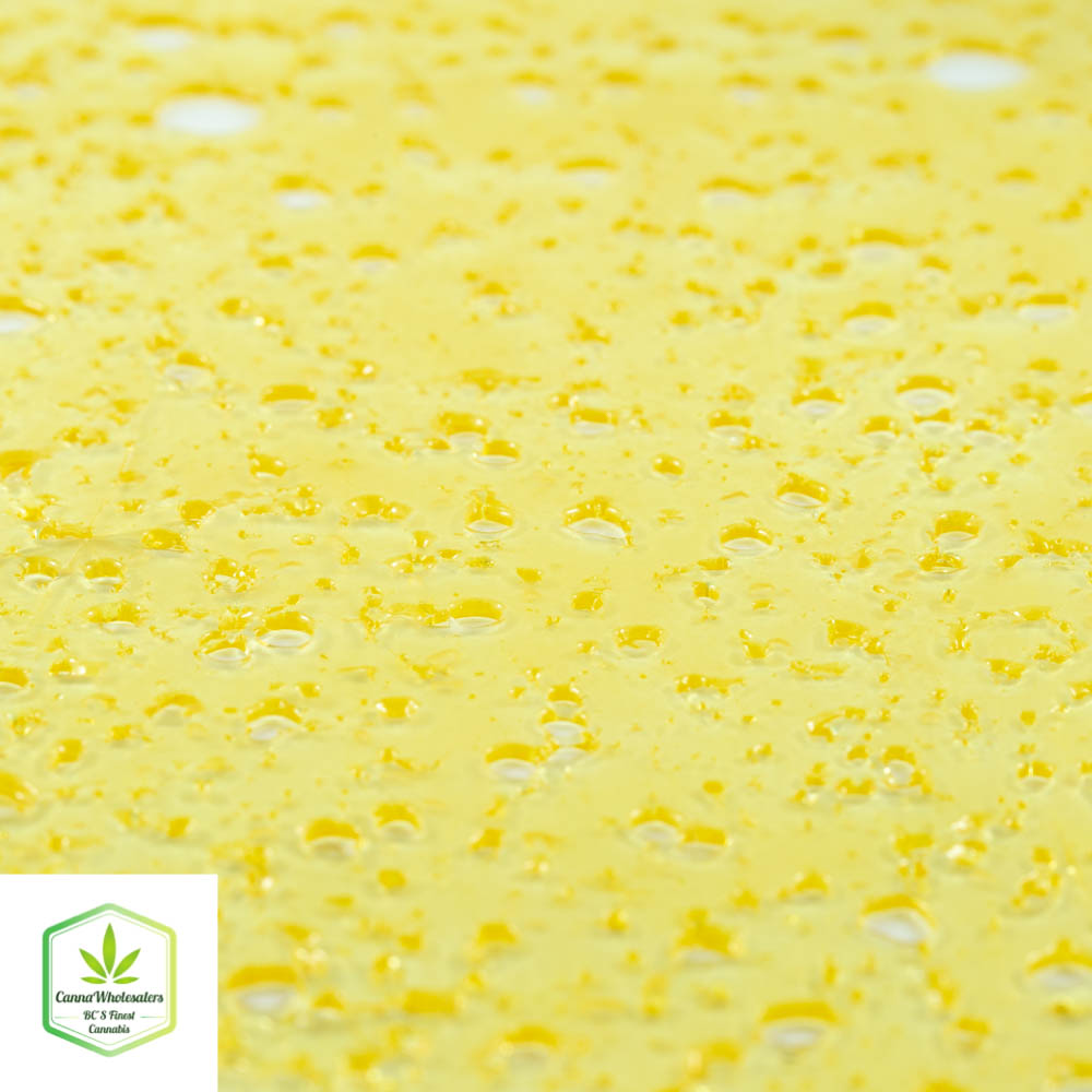 Space Queen Shatter (Top Shelf)