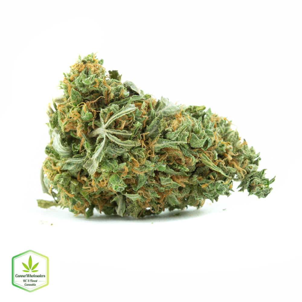 Liberty Haze