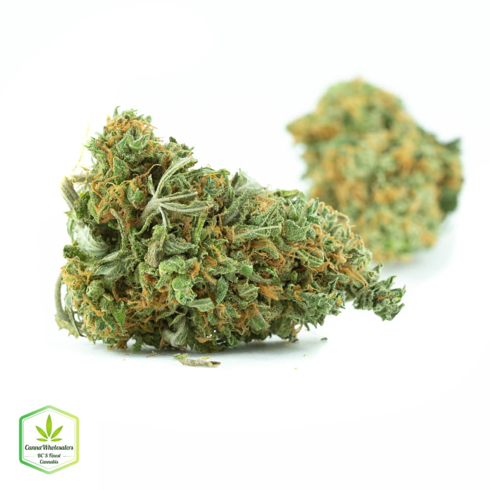 Liberty Haze