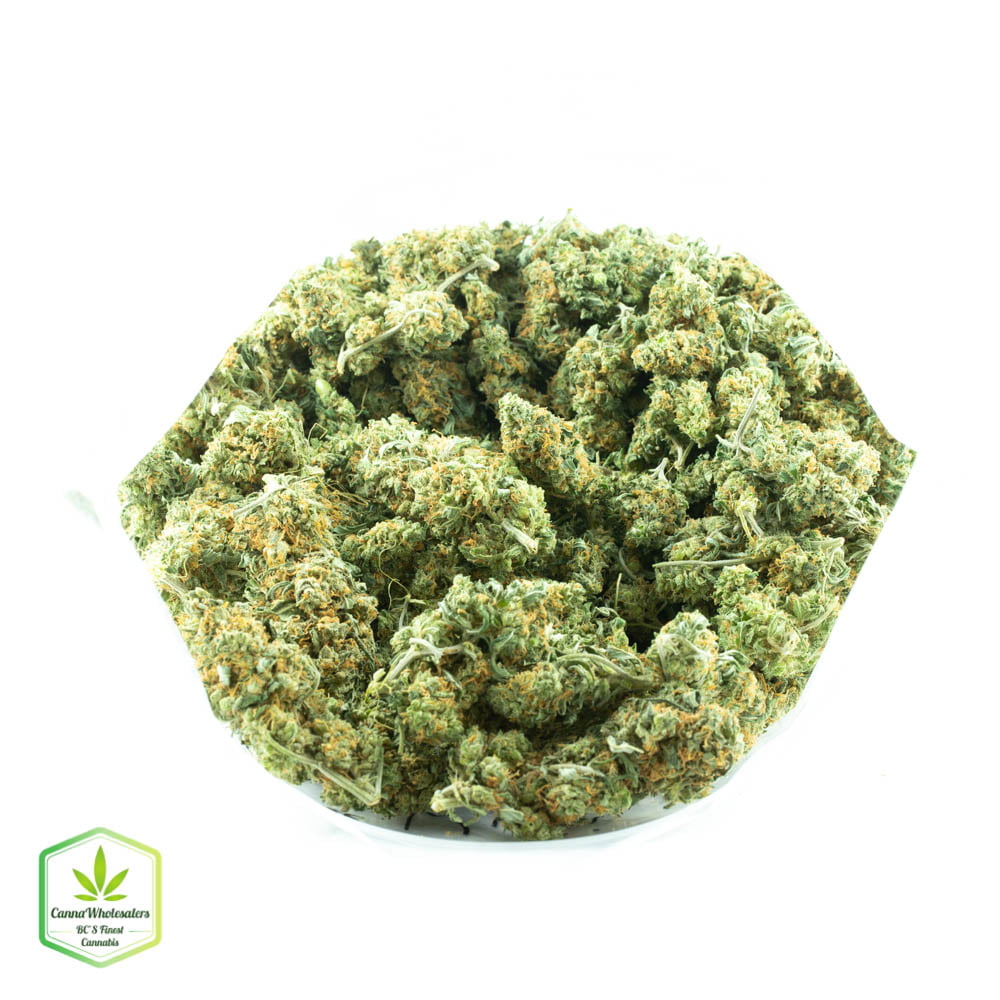 Liberty Haze