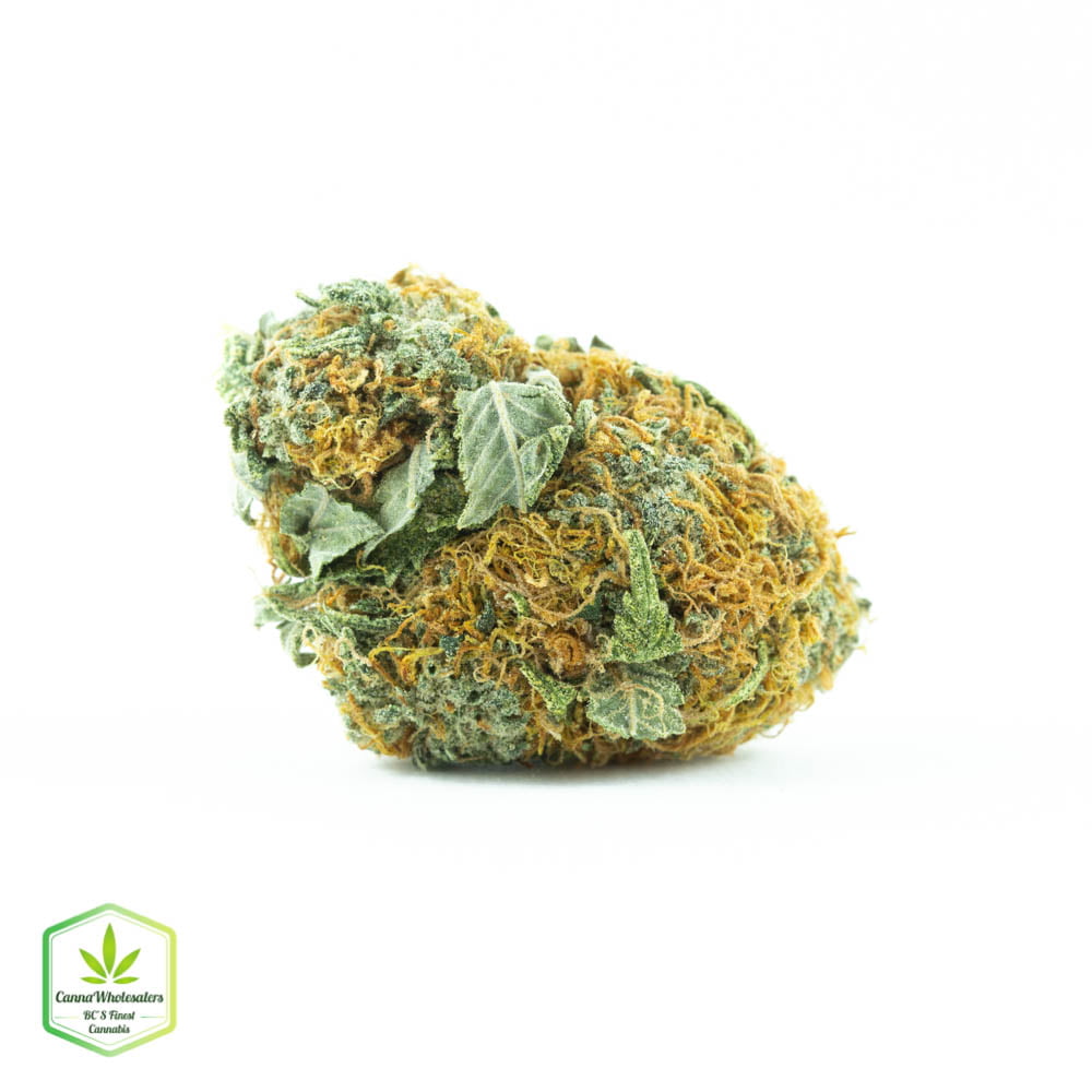 True OG – Budget Ounce