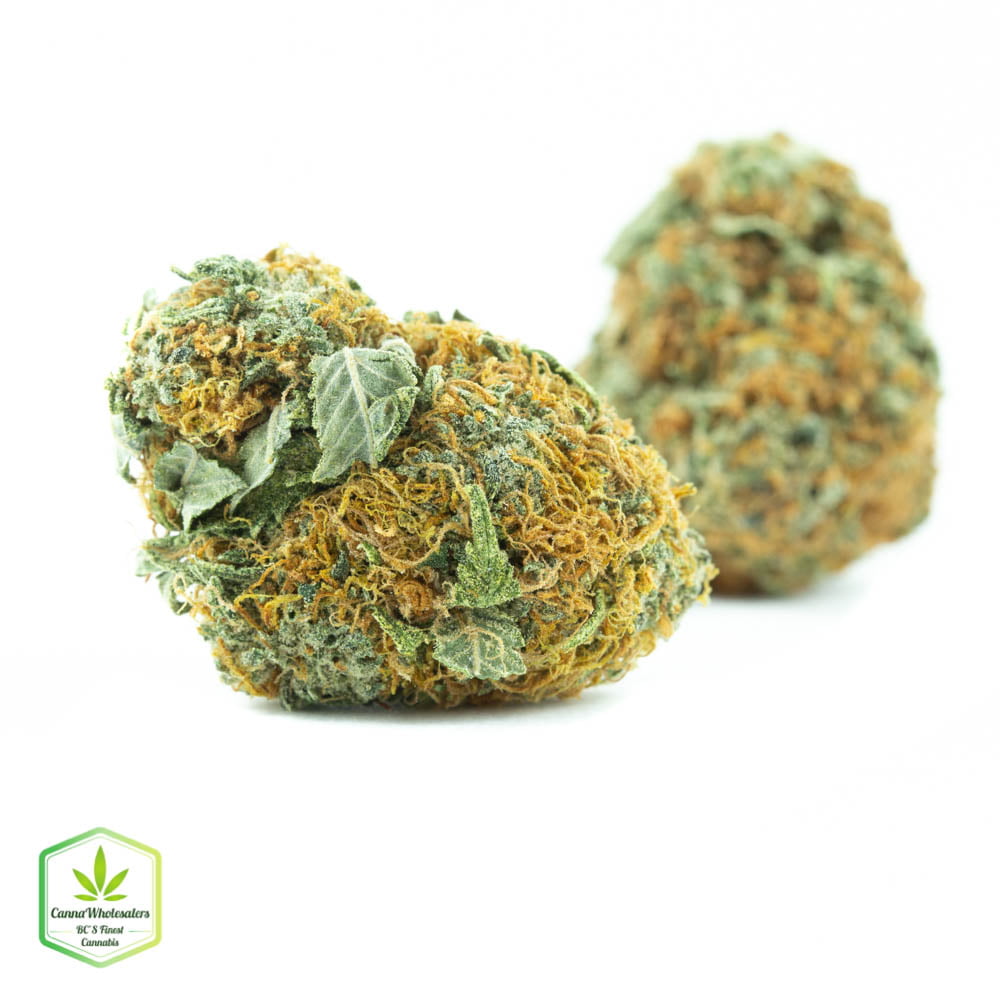 True OG – Budget Ounce