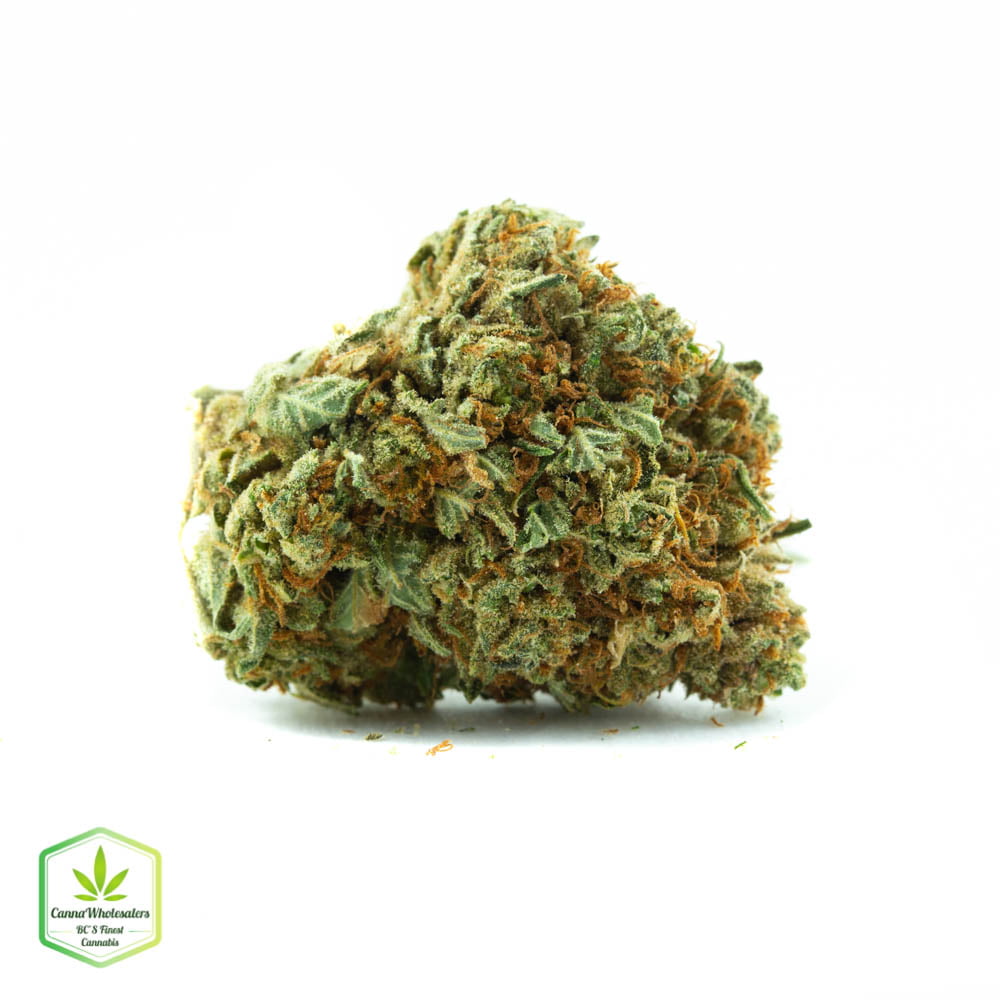 Cookie Wreck – Budget Ounce