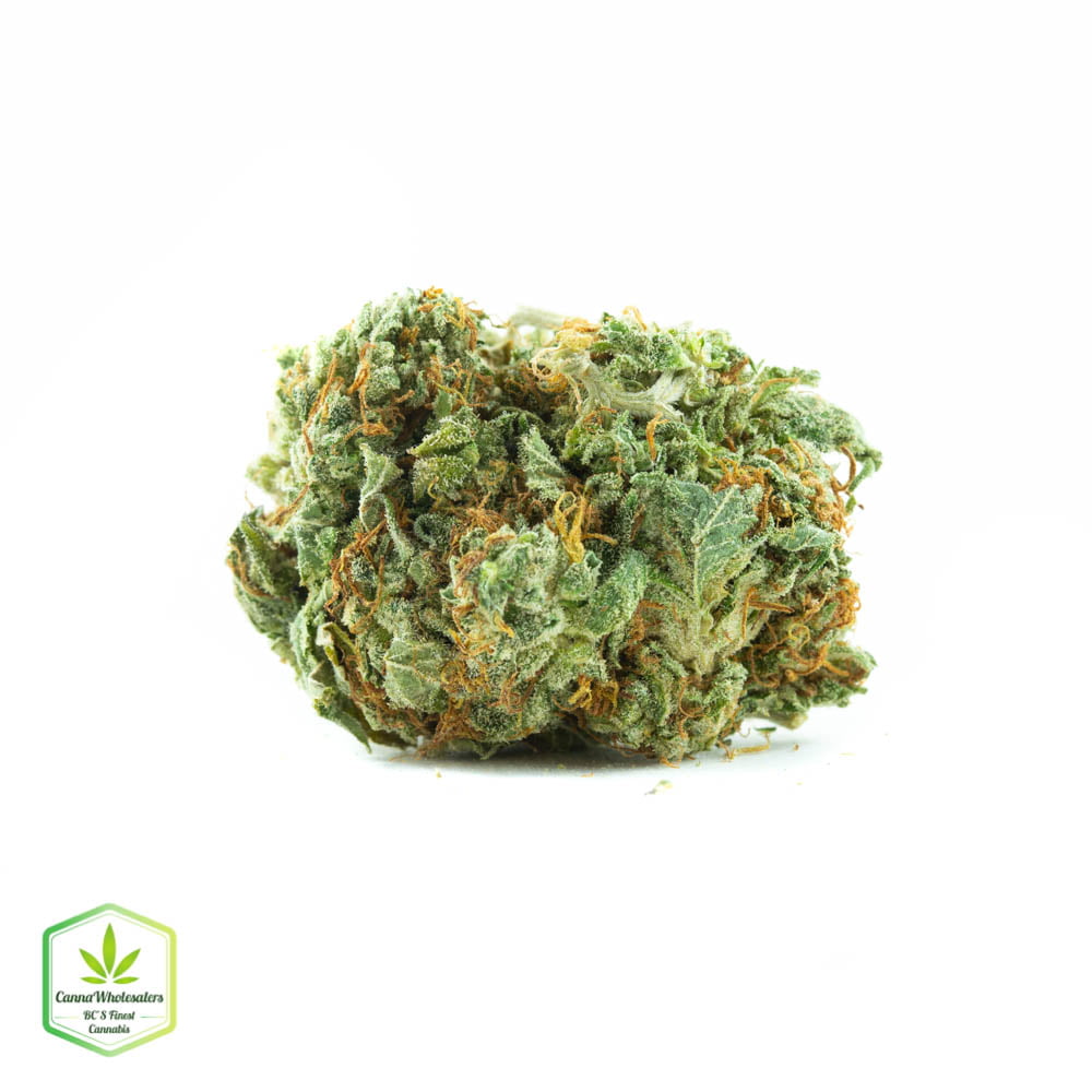 Lemon Jack