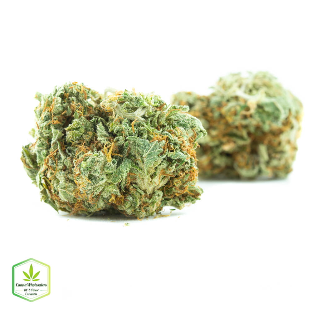 Lemon Jack