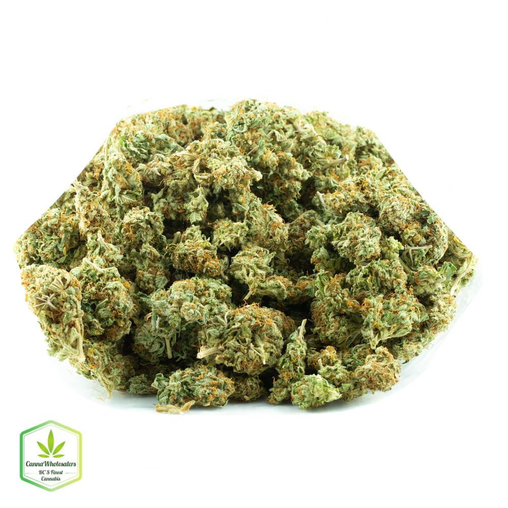 Lemon Jack