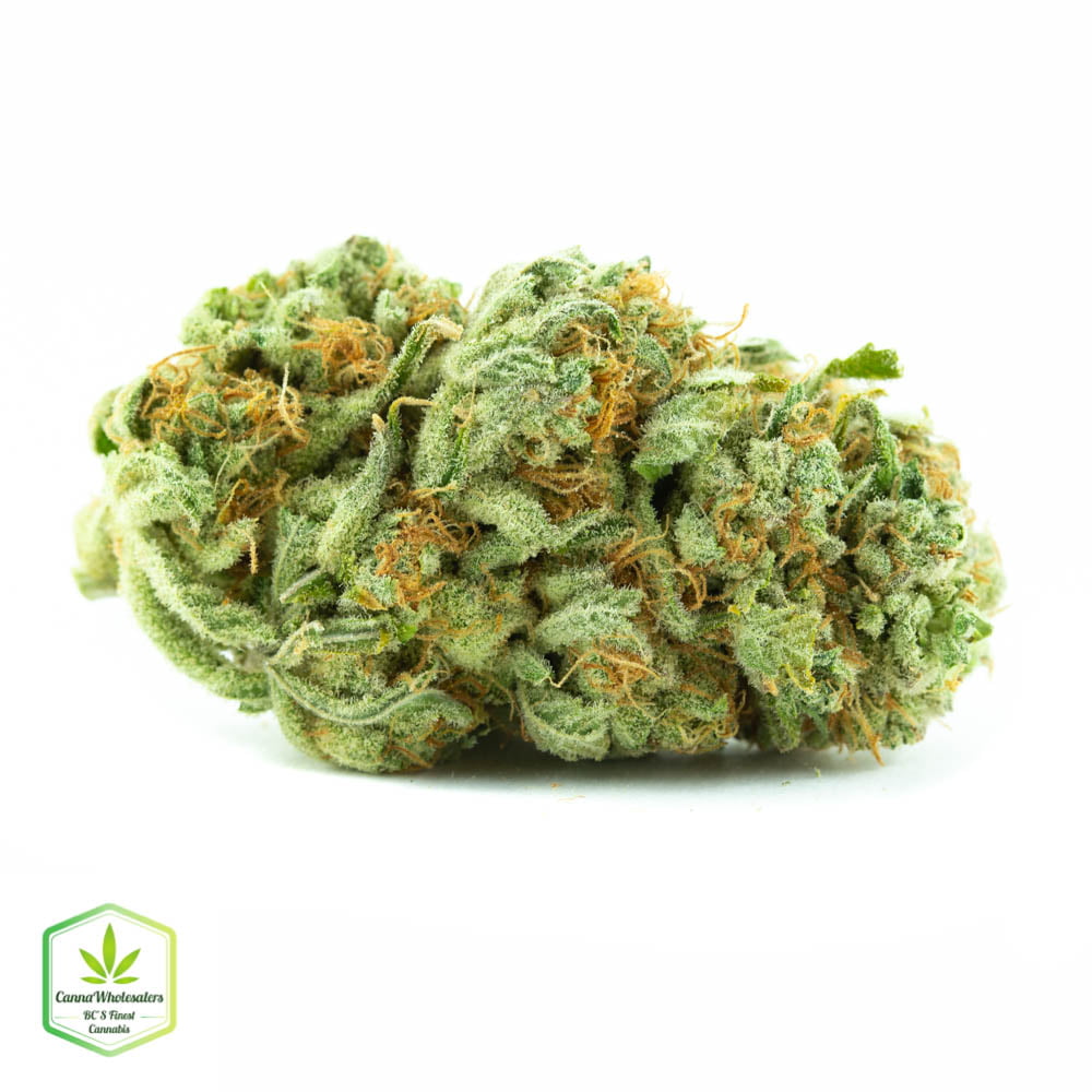 Pineapple Skunk