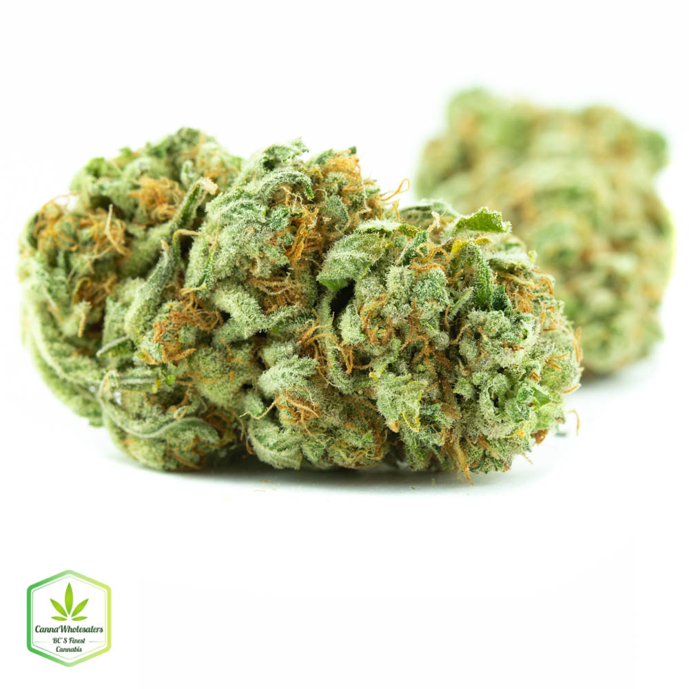 Pineapple Skunk