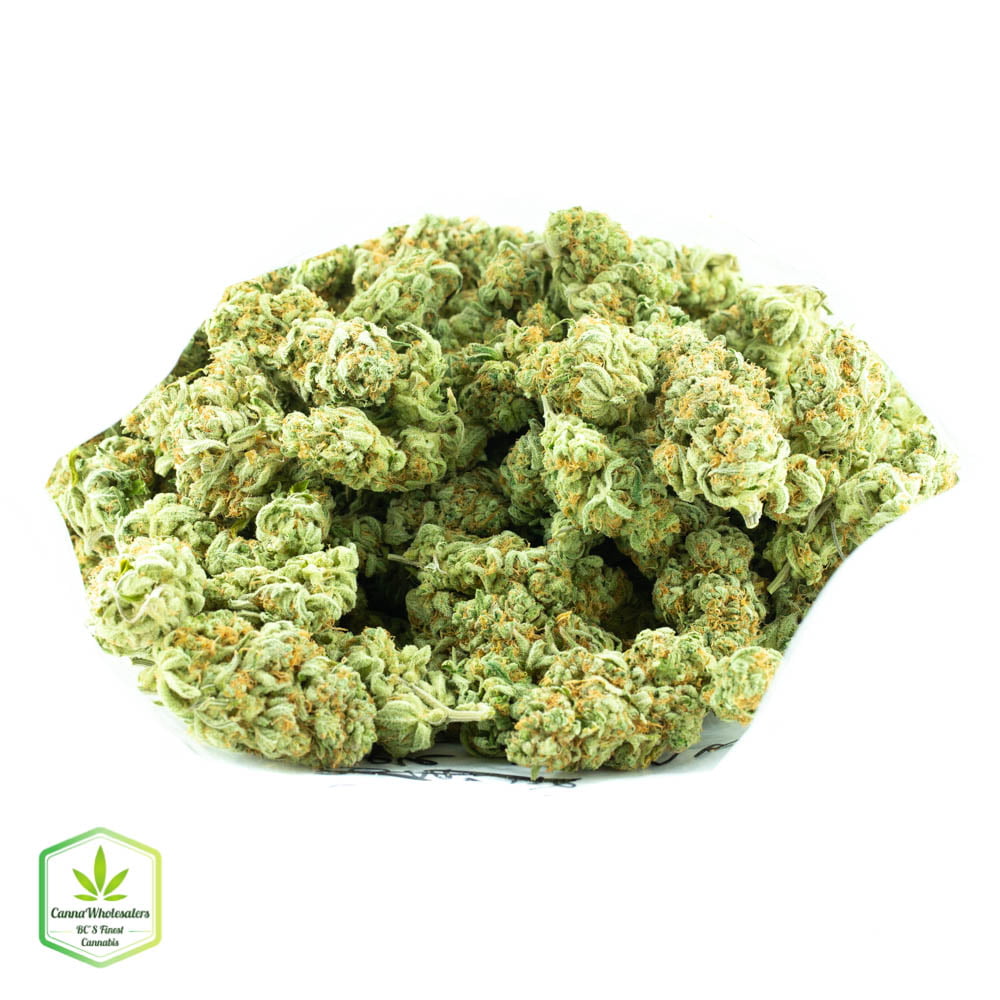 Pineapple Skunk
