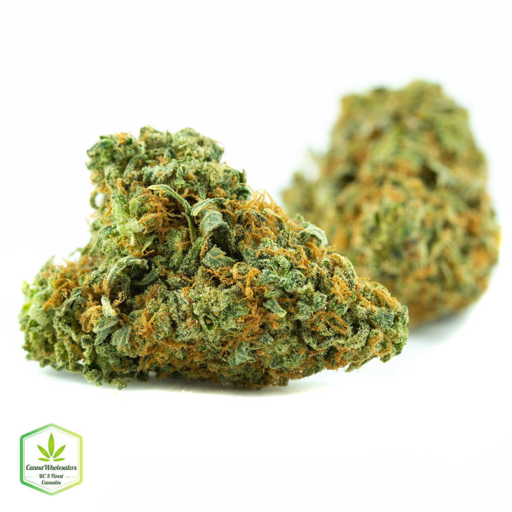 Select Sativa