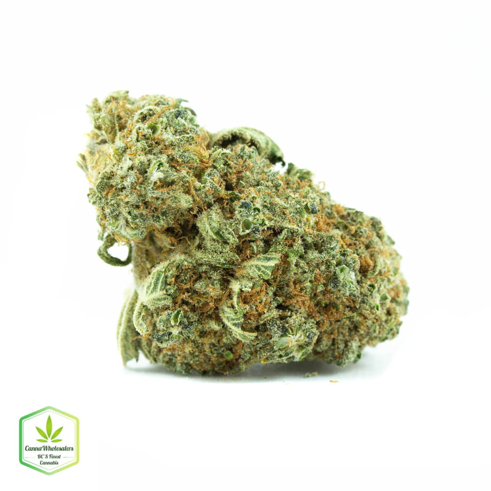 White Russian