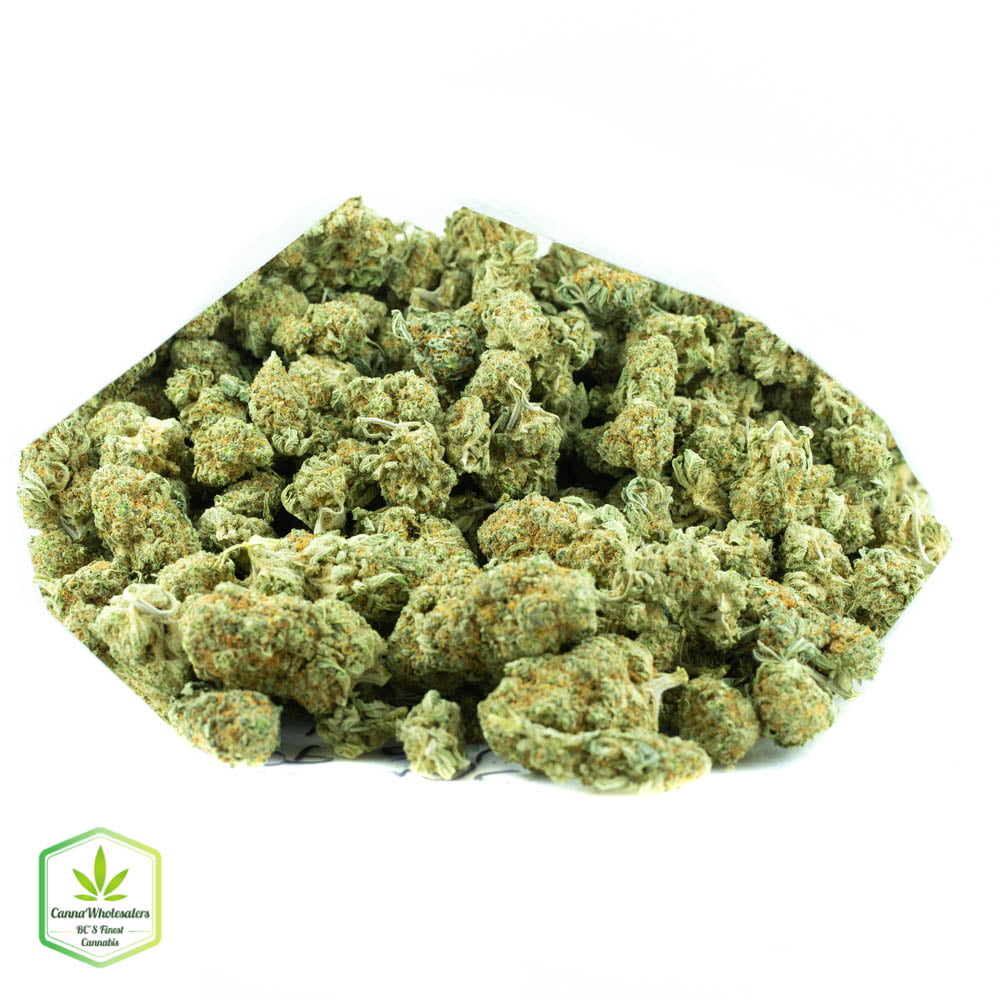 White Russian