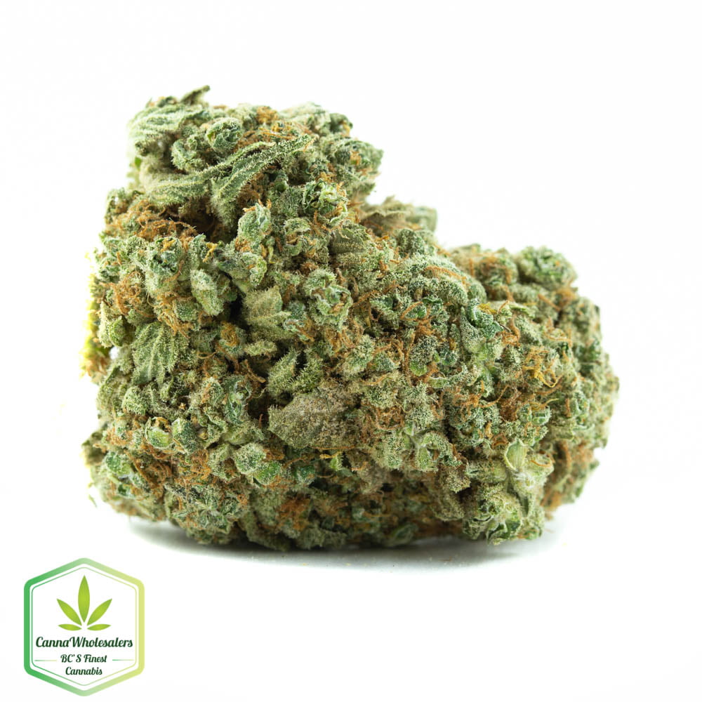 Duke Nukem – Budget Ounce
