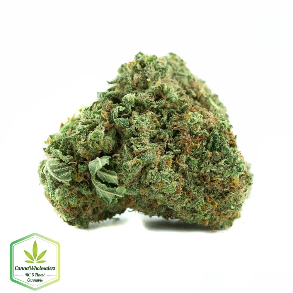 Select Hybrid – Budget Ounce