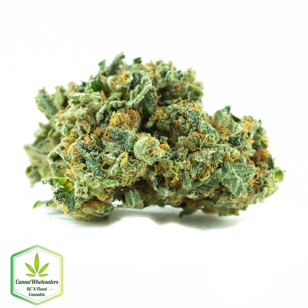 Snow Diesel