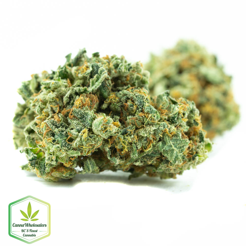 Snow Diesel