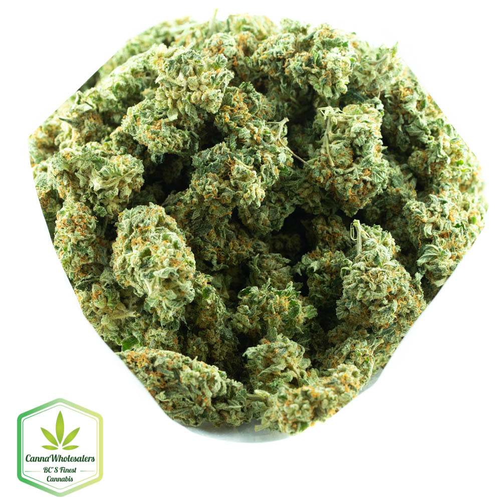 Snow Diesel