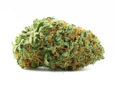 Buy Cheap Weed Ounces Online in Alberta